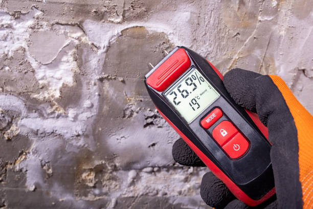 Best Crawl Space Mold Removal  in Sturgis, MI