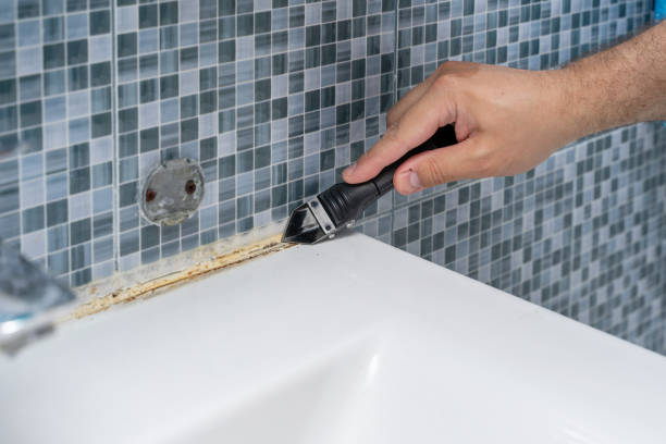 Best Mold Testing  in Sturgis, MI